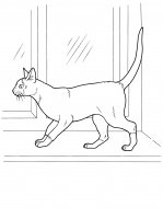 disegni/gatti/gatti_cats_ 15.jpg